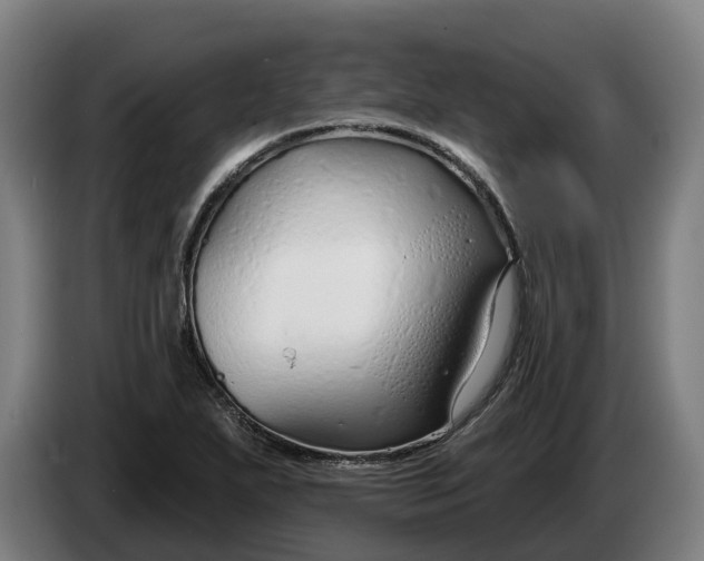 X0000086321271200704202015