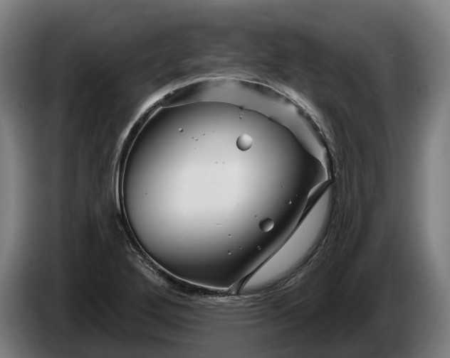 X0000086321272200704202015