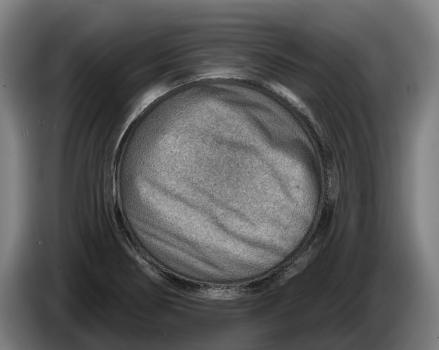 X0000086321274200704202015