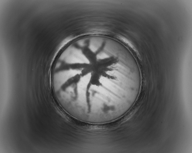 X0000086321275200704202015