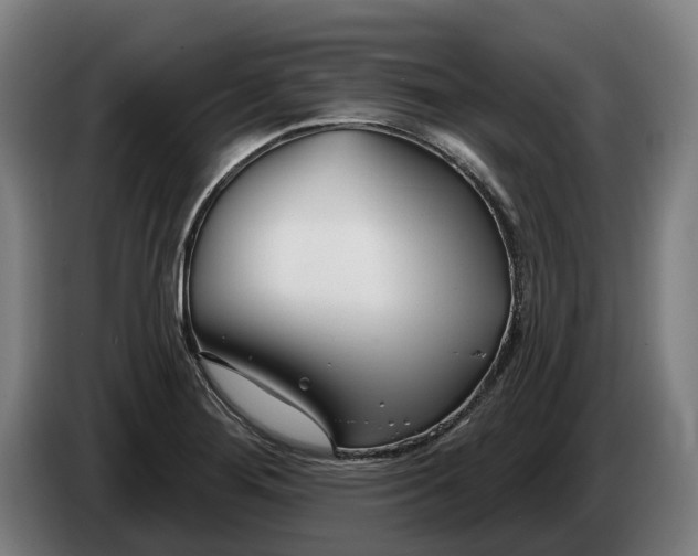 X0000086321276200704202015