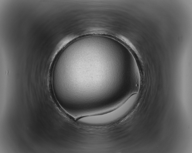 X0000086321277200704202015