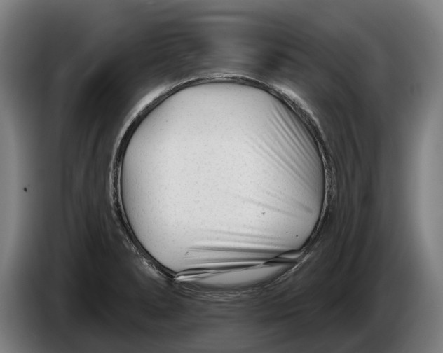 X0000086321278200704202015