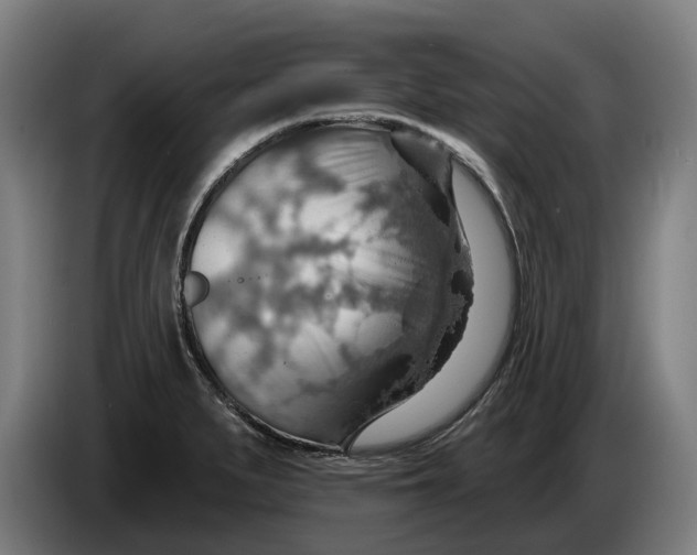 X0000086321279200704202015