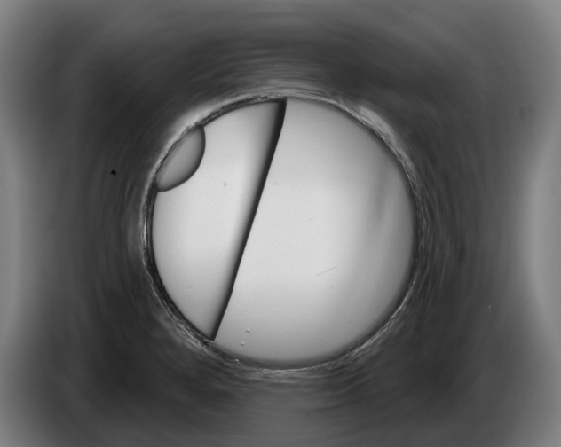 X0000086321280200704202015