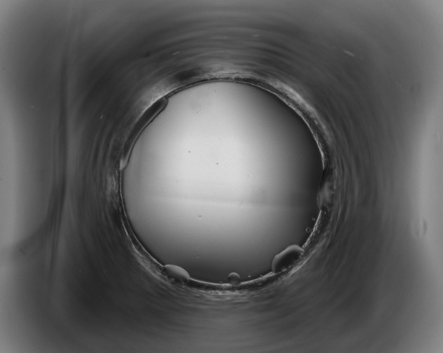 X0000086321281200704202015