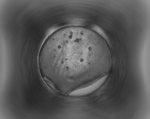 X0000086321283200704202015