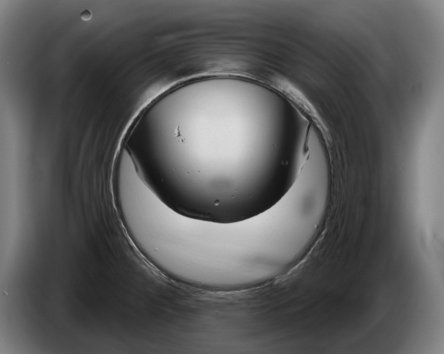 X0000086321284200704202015