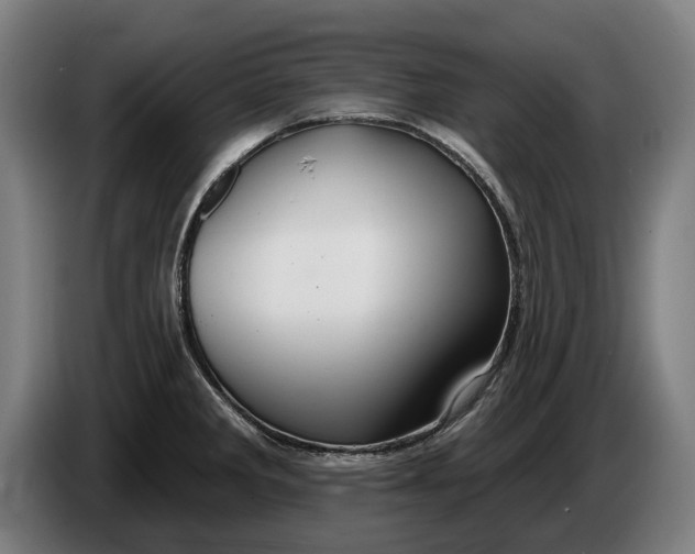 X0000086321285200704202015