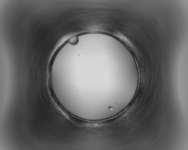 X0000086321286200704202015