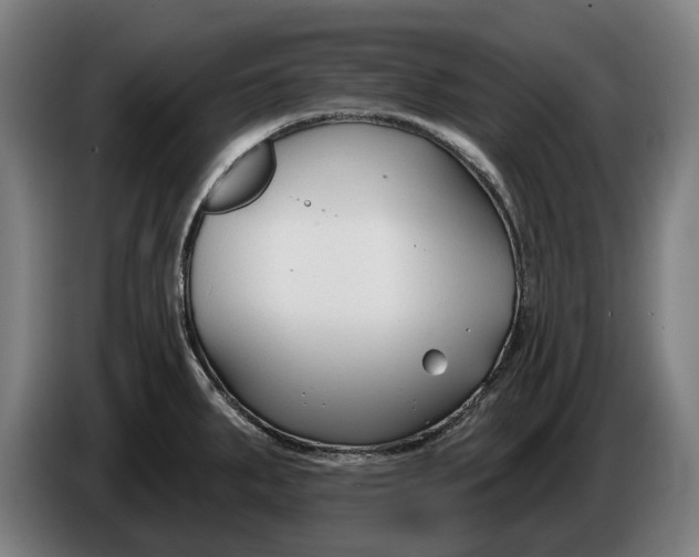 X0000086321287200704202015