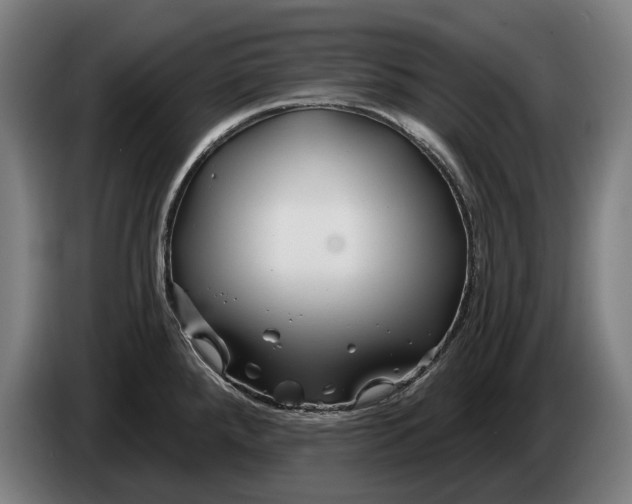 X0000086321288200704202014