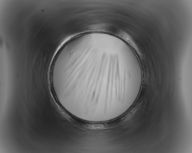 X0000086321291200704202014