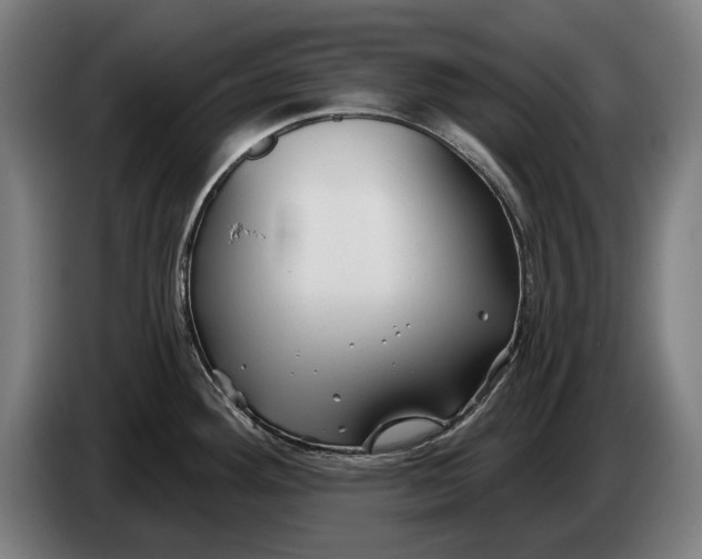 X0000086321292200704202014