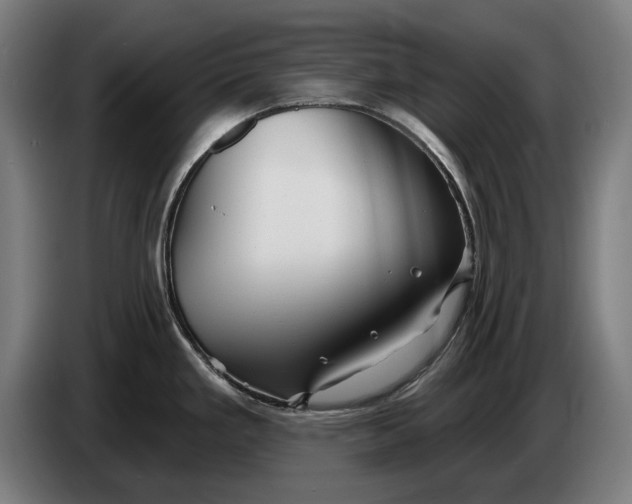 X0000086321293200704202014