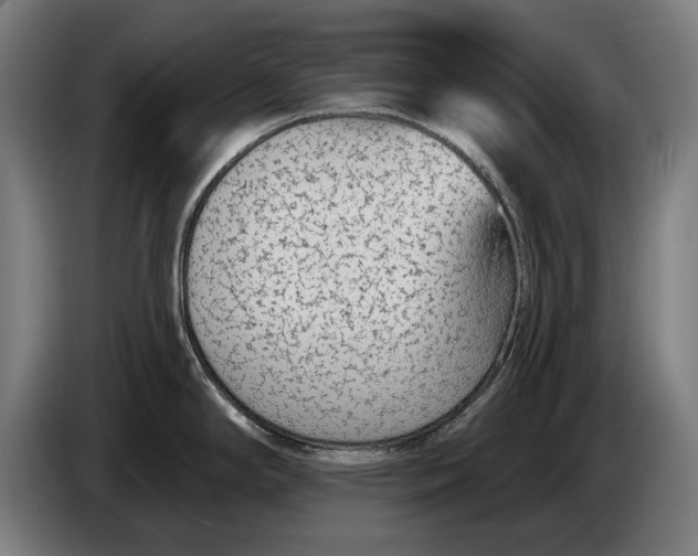 X0000086321294200704202014