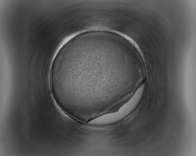 X0000086321295200704202014