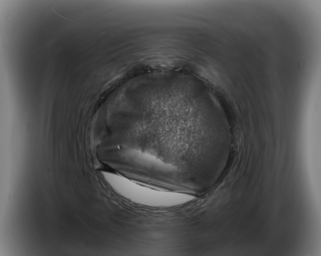 X0000086321297200704202014