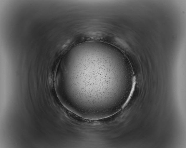 X0000086321298200704202014