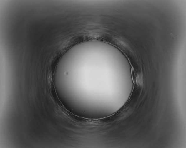 X0000086321299200704202014