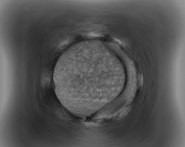 X0000086321300200704202014