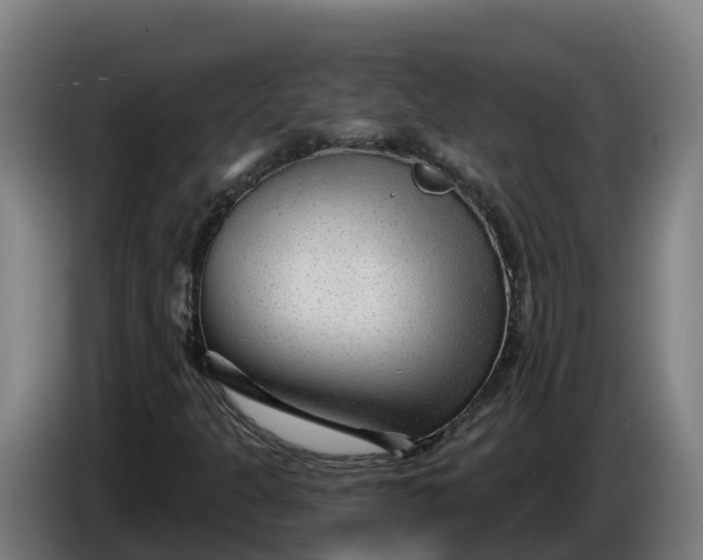 X0000086321301200704202014