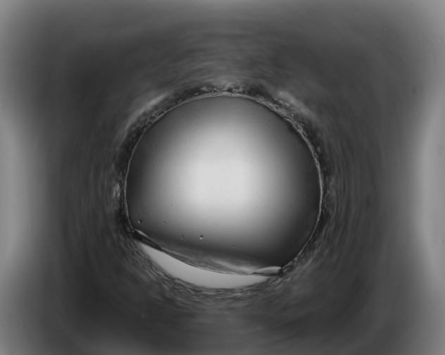 X0000086321302200704202014