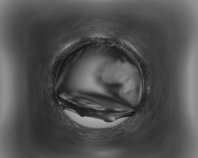 X0000086321303200704202014