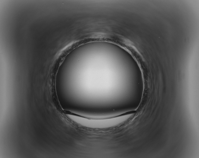 X0000086321304200704202014