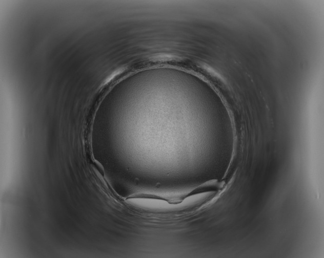 X0000086321305200704202014