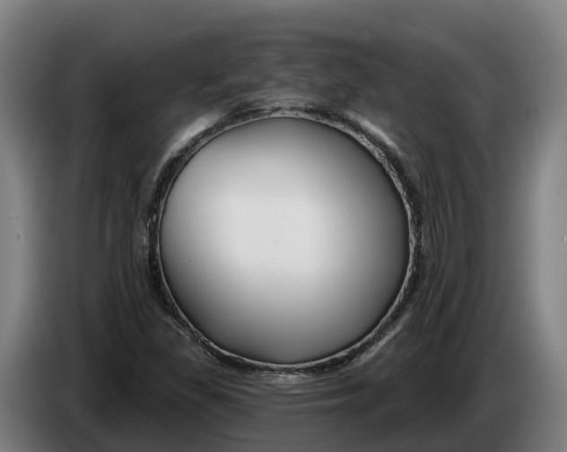 X0000086321309200704202014