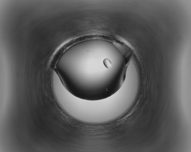 X0000086321310200704202014