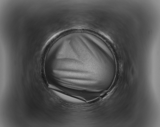 X0000086321311200704202014