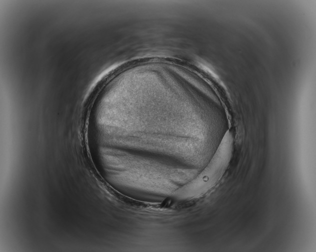 X0000086321312200704202014