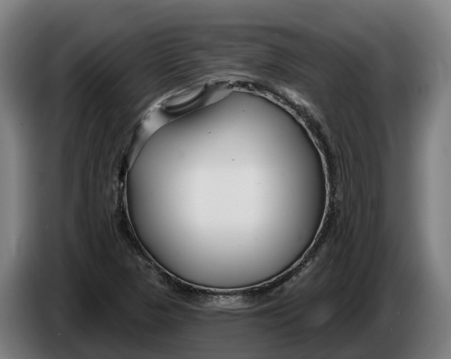 X0000086321313200704202014