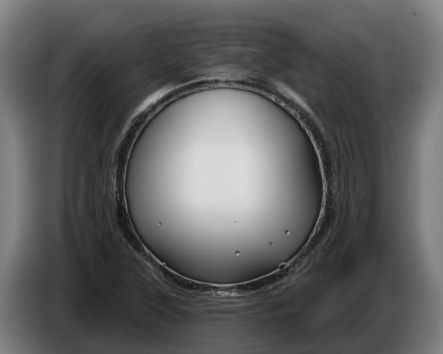 X0000086321315200704202014