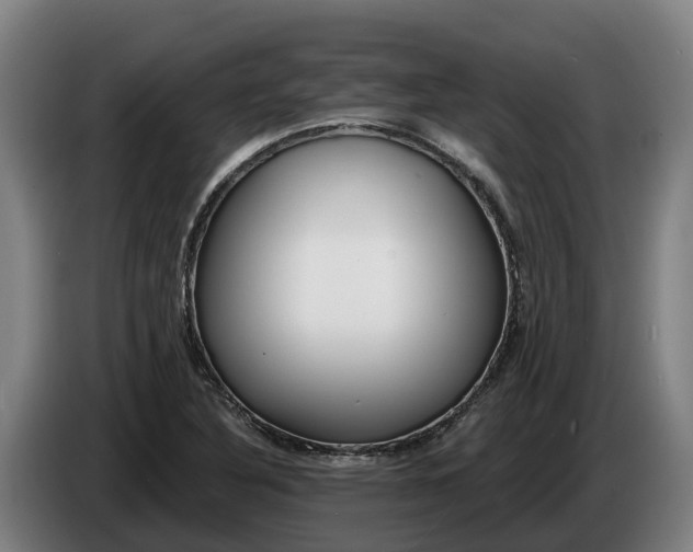 X0000086321316200704202014