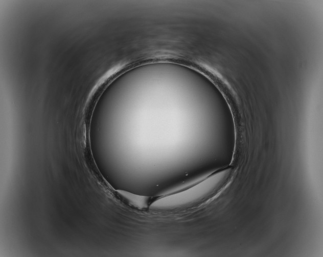 X0000086321317200704202014