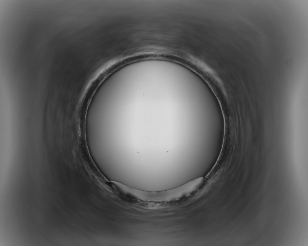 X0000086321318200704202014