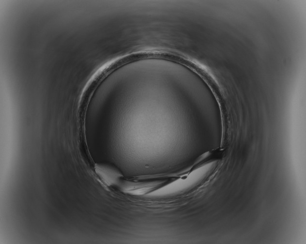 X0000086321319200704202014