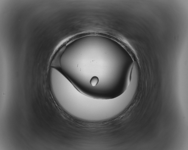 X0000086321320200704202014