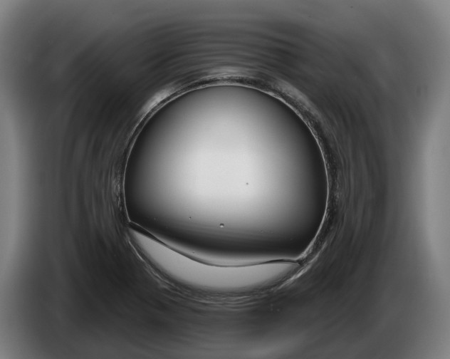 X0000086321321200704202014