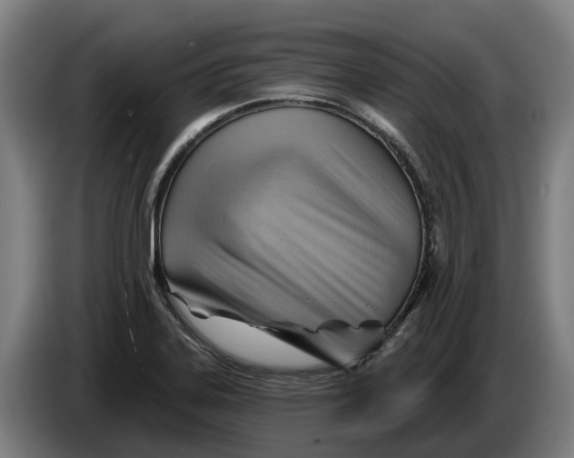 X0000086321323200704202014