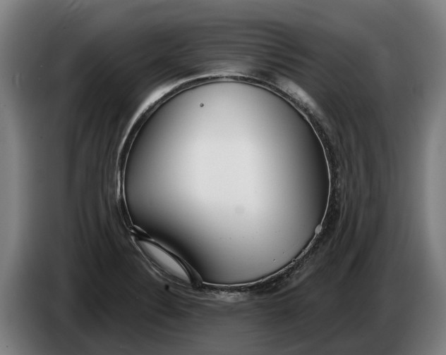 X0000086321324200704202014