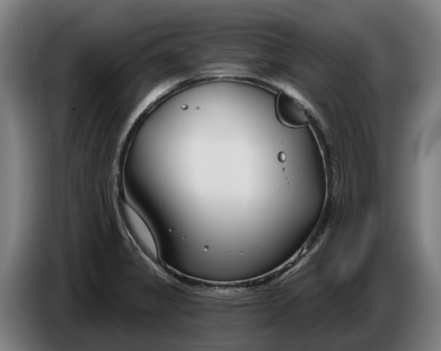 X0000086321325200704202014