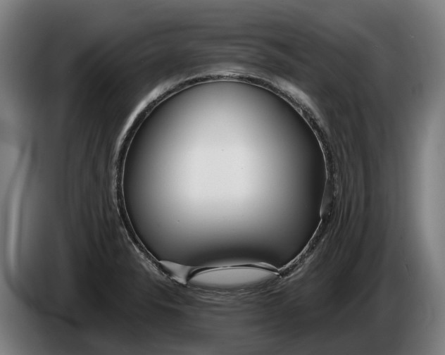 X0000086321326200704202014