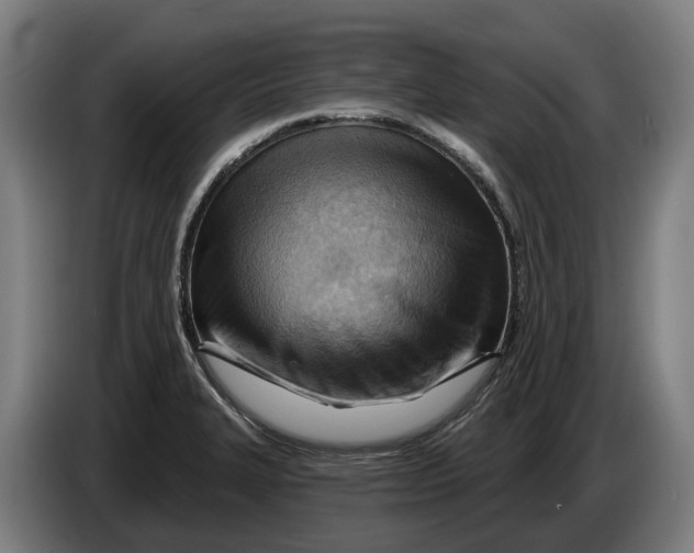 X0000086321327200704202014