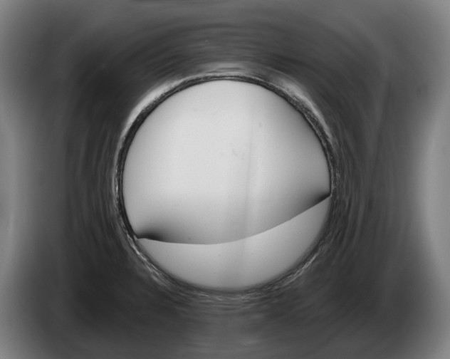 X0000086321328200704202014