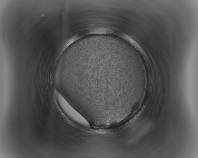 X0000086321329200704202014