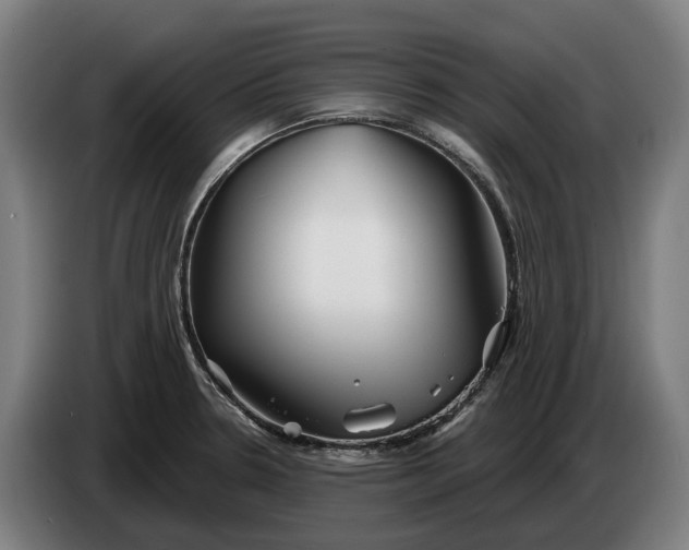 X0000086321330200704202014